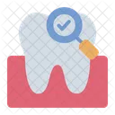 Dente Check Up Odontologico Dentista Ícone