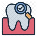 Dente Check Up Odontologico Dentista Icon