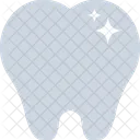 Molar Dente Humano Icon