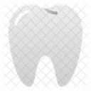 Dente Molar Dental Icon