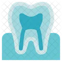 Anatomia De Orgao Dente Gengiva Ícone