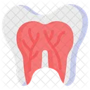 Dente Dental Anatomia Ícone