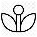 Dente de leão  Ícone