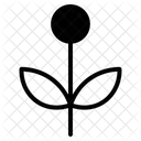 Dente De Leao Ícone