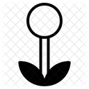 Dente de leão  Ícone