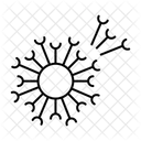 Dente de leão  Ícone