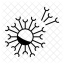 Dente De Leao Ícone