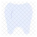 Odontologico Dente Dentista Ícone