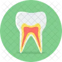 Dentes Cuidados Saude Ícone