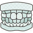 Dentes Mandibula Gengivas Ícone