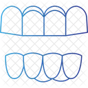 Dentes da mandíbula  Ícone