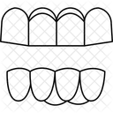 Dentes da mandíbula  Ícone