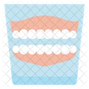 Dentiera  Icon