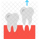 치과 의사 의사 병원 아이콘
