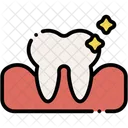 Dentist  Icon