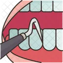Dentistry Oral Tooth Icon