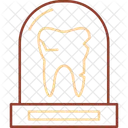 Dentistry Oralhealth Smile Icon