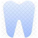 Dents Dentaires Dent Icon