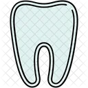 Dentaire Dents Dent Icon