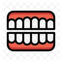 Denture Dentist Teeth Icon