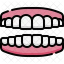 Denture  Icon
