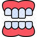 Denture Dental Dentist Icon