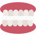 Denture Dentures Mouth Icon