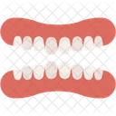 Denture Care Dental Icon