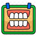 Denture Dentistry Teeth Icon