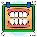 Denture Dentistry Teeth Icon