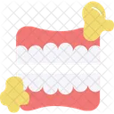 Denture Icon