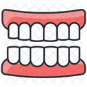 Denture  Icon