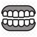 Denture  Icon