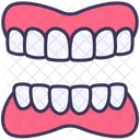 Dentures Dental Tooth Icon