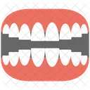 Dentures Jaw Teeth Icon