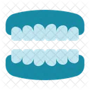 Dentures  Icon