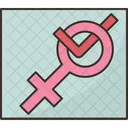 Derechos Votacion Eleccion Icon