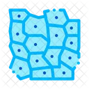Mikroskopische Derm Zelle Symbol