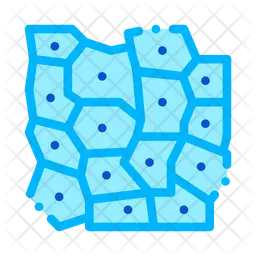 Derm Cell  Icon