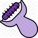 Derma Roller Icon