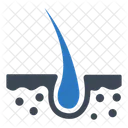 Dermatology Follicle Hair Icon