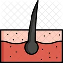 Dermatology Hair Scalp Icon