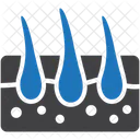 Dermatology Skin Hair Icon