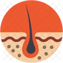 Dermatology  Icon