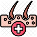 Dermatology Hair Beauty Icon