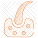 Dermatology Skin Care Icon