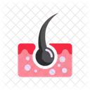 Dermis Skin Anatomy Dermis Layer Icon