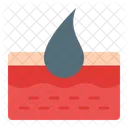 Dermis  Icon