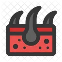 Dermis Dermatology Hair Icon