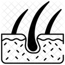 Dermis  Icono